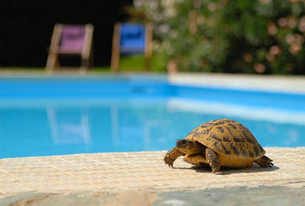 Sun Beach Ajaccio  Kültér fotó